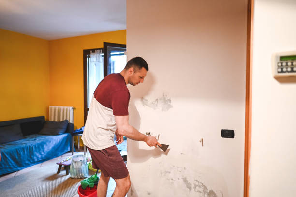 Best Water Damage Restoration  in Braselton, GA